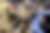 00279_hstqtxwhr.jpg