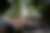00053_1f4tuclcr.jpg