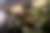 00063_k8e7h5cey.jpg