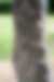 00506_zQHrMex3V.jpg