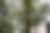00511_PBP4g7ucB.jpg
