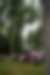 00467_d8qoy97Ba.jpg