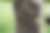00505_cxP9CYrbO.jpg