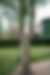 00503_EqPDBGrF0.jpg