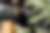 00051_qXmmN5Nn0.jpg