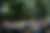 00047_cwgq7csem.jpg