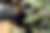 00052_6CH4WCqPu.jpg