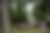 00464_mdxgene58.jpg