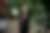 00452_SvhBSwhMs.jpg