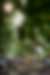 00627_JmT5uU2W7.jpg