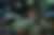 00625_sMmCw7iAp.jpg
