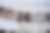 00354_Nw9tsESbd.jpg
