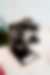 00295_2axK8OUmx.jpg