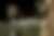 00158_iJsMxyBbB.jpg