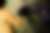 00248_LvEaD8U2G.jpg