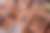 00346_HbApISKcT.jpg