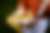 00125_5WI4l5gLw.jpg