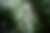 00355_bAJ0Xuc8M.jpg