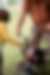 00258_tpcAuUEop.jpg