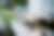 00296_FSp8euCFo.jpg