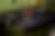 00244_GTKNOWLh5.jpg