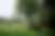 00460_21mfqw7Hx.jpg