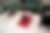 00293_gGUNlcWtZ.jpg