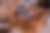 00344_yjEMHPT2O.jpg