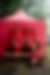 00151_gmj5YR3CV.jpg
