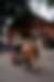 00199_xc4FcUYrb.jpg