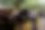 00189_P92pmsToR.jpg