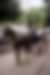 00184_xLVu121f1.jpg