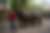 00188_xmAoDRwaq.jpg