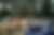 00282_8DlwF7w8U.jpg